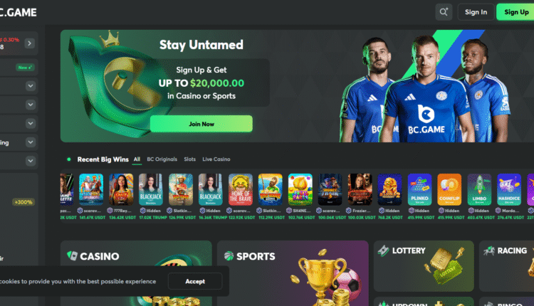 Top Slot Machines on BC Game App for Indian Players